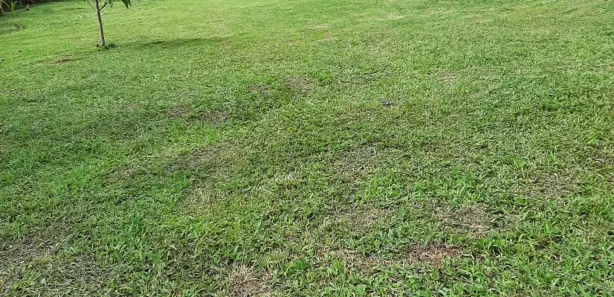 Fazenda/Sítio com 3 Quartos à venda, 175m² no Campo Grande, Rio de Janeiro