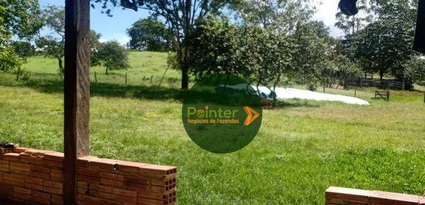 Fazenda/Sítio à venda, 871200m² no , Niquelândia