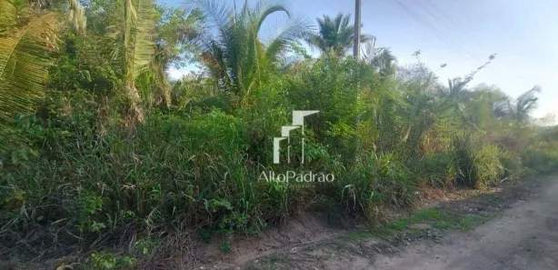 Lote/Terreno à venda, 2400m² no Cidade Nova, Demerval Lobão