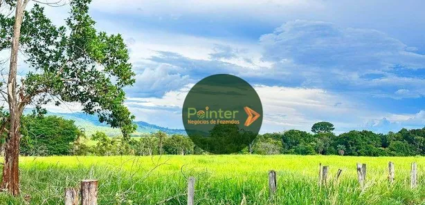 Fazenda/Sítio à venda, 290400m² no , Itaberaí