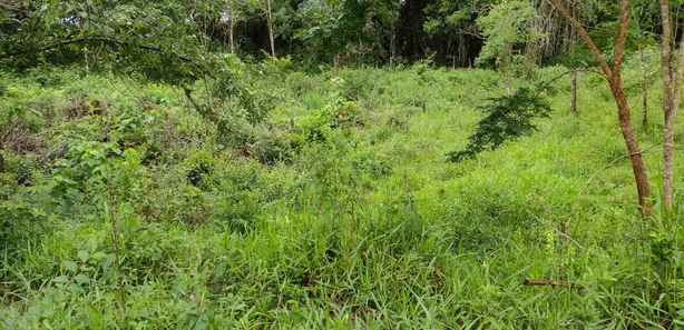 Lote/Terreno à venda, 20000m² no , Fortuna de Minas