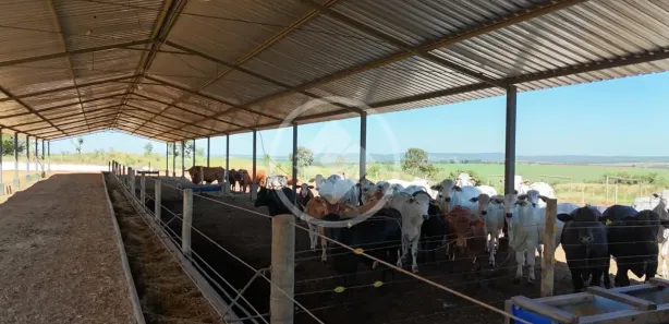 Fazenda/Sítio à venda, 200m² no Vila Santa Maria, Inhumas