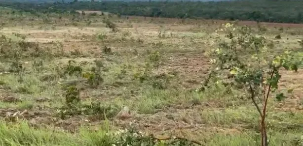 Fazenda/Sítio à venda, 4114m² no , Niquelândia