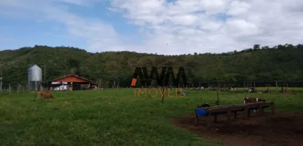 Fazenda/Sítio com 4 Quartos à venda, 1137400m² no , 