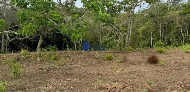 Fazenda/Sítio com 1 Quarto à venda, 3000m² no , Gameleira de Goiás
