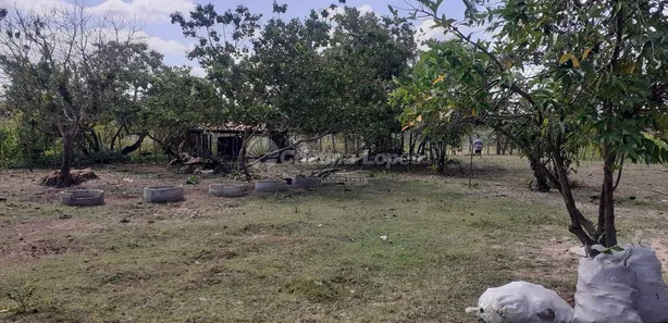 Fazenda/Sítio com 3 Quartos à venda, 10m² no , José de Freitas