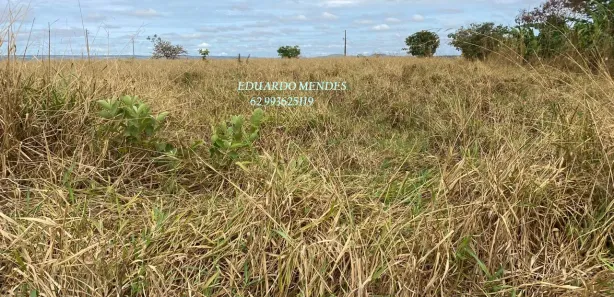 Fazenda/Sítio com 3 Quartos à venda, 145200m² no , Gameleira de Goiás