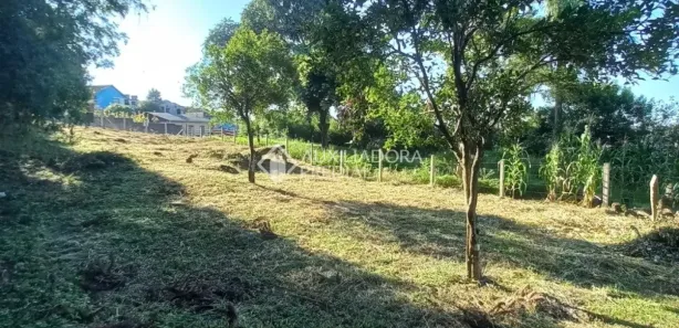 Lote/Terreno à venda, 999m² no Bela Vista, Caxias do Sul