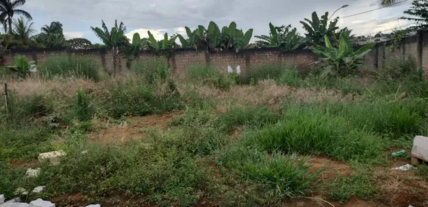 Lote/Terreno com 1 Quarto à venda, 263m² no Setor Habitacional Arniqueira, Brasília