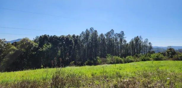 Lote/Terreno à venda, 445m² no Linha Olinda, Nova Petrópolis
