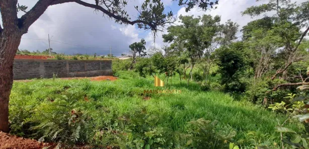 Lote/Terreno à venda, 445m² no Pomar da Lagoa, Lagoa Santa