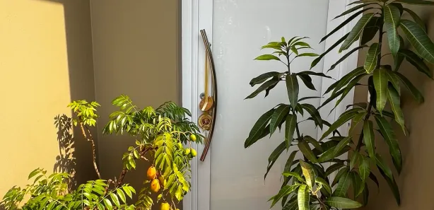 Casa com 3 Quartos à venda, 175m² no Jardim Taquaral, Brotas