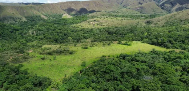 Fazenda/Sítio à venda, 573360m² no , Padre Bernardo