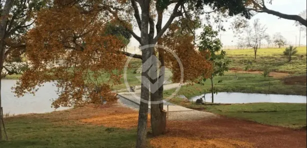 Fazenda/Sítio à venda, 1625m² no , Guapó