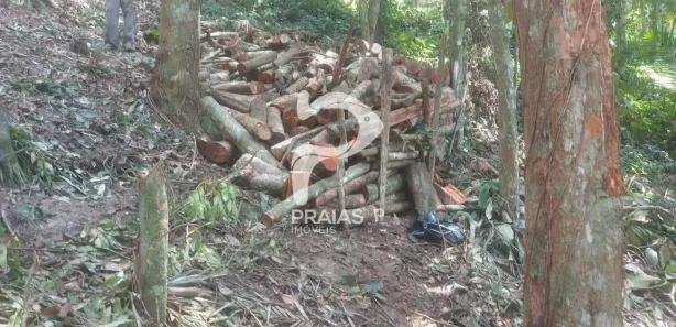 Lote/Terreno à venda, 1650m² no Balneario Praia do Perequê, Guarujá