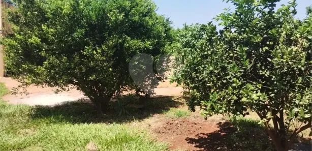 Fazenda/Sítio com 2 Quartos à venda, 350m² no Área Rural de Iacanga, Iacanga