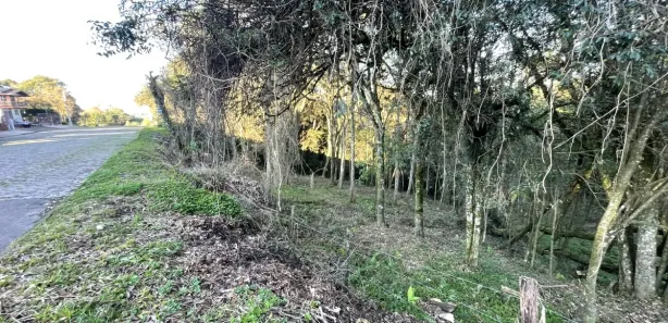 Lote/Terreno à venda, 389m² no Cruzeiro, Caxias do Sul