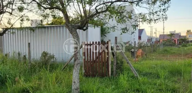 Lote/Terreno à venda, 250m² no Parque da Matriz, Gravataí