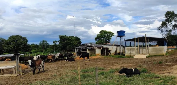 Fazenda/Sítio à venda, 30m² no , Buritis