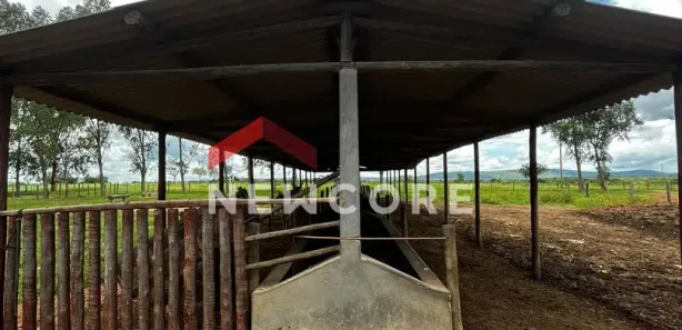 Fazenda/Sítio com 3 Quartos à venda, 1m² no , Buenópolis