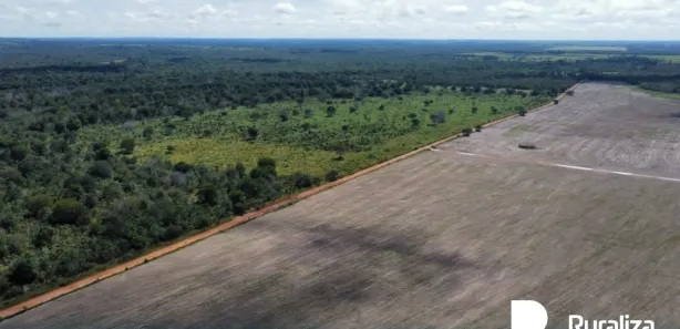 Fazenda/Sítio à venda, 770m² no , Abreulândia