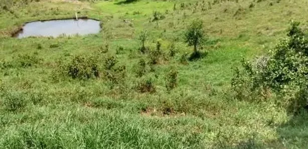 Fazenda/Sítio com 2 Quartos à venda, 35000m² no , Caraá