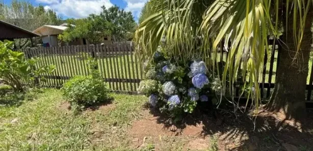 Fazenda/Sítio com 2 Quartos à venda, 74m² no , Caraá