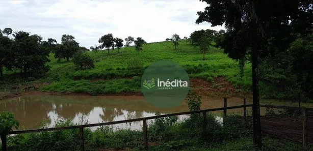 Fazenda/Sítio à venda, 484000m² no , Bonfinópolis