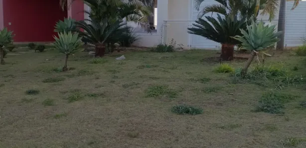 Casa de Condomínio com 3 Quartos à venda, 170m² no Jardim Ninho Verde II, Pardinho