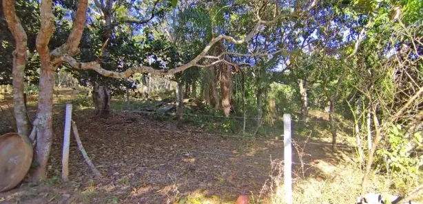 Fazenda/Sítio com 5 Quartos à venda, 450m² no Centro, Silvânia