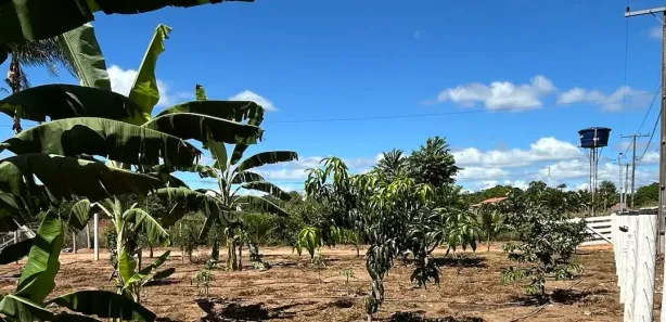 Fazenda/Sítio com 2 Quartos à venda, 4550m² no , Jaraguá