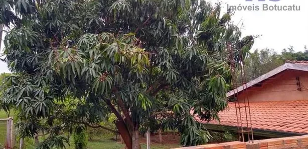 Fazenda/Sítio com 2 Quartos à venda, 1m² no Centro, Arandu