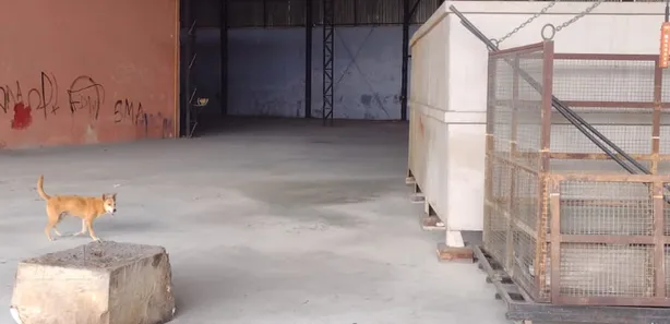 Galpão/Depósito/Armazém para venda ou aluguel, 4100m² no Nova Cidade, Manaus