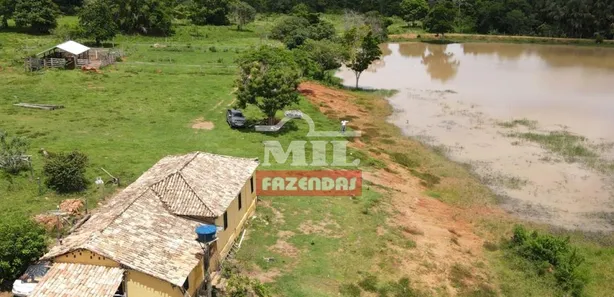 Fazenda/Sítio com 4 Quartos à venda, 500m² no , Goiás