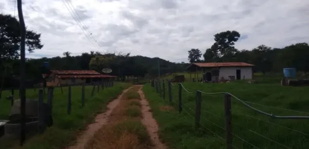 Fazenda/Sítio com 4 Quartos à venda, 1137400m² no , 