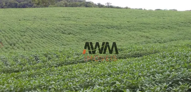 Fazenda/Sítio à venda, 5008300m² no Centro, Leopoldo de Bulhões