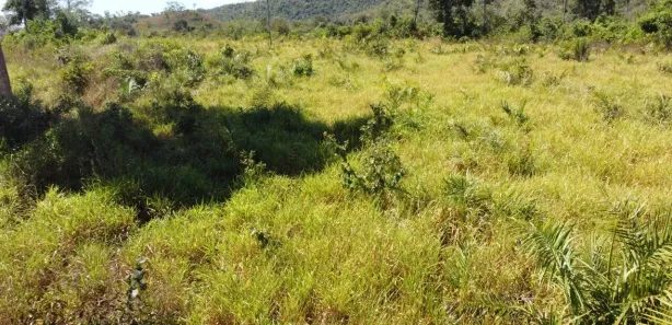 Fazenda/Sítio à venda, 1001m² no Centro, Porto Nacional