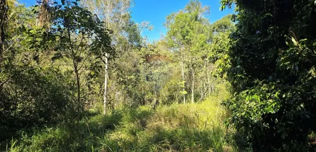 Lote/Terreno à venda, 5000m² no , Pardinho