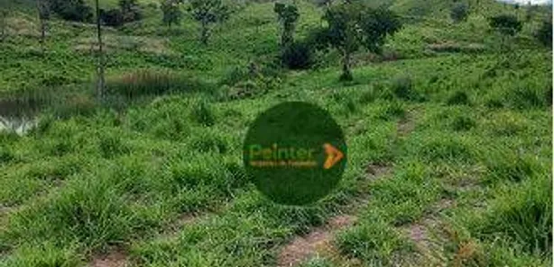 Fazenda/Sítio à venda, 12874400m² no Zona Rural, Niquelândia