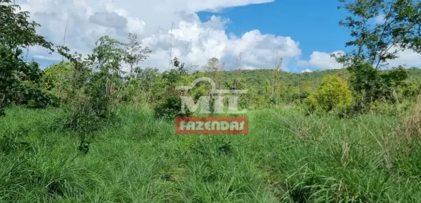 Fazenda/Sítio à venda, 484000000m² no , Jaraguá
