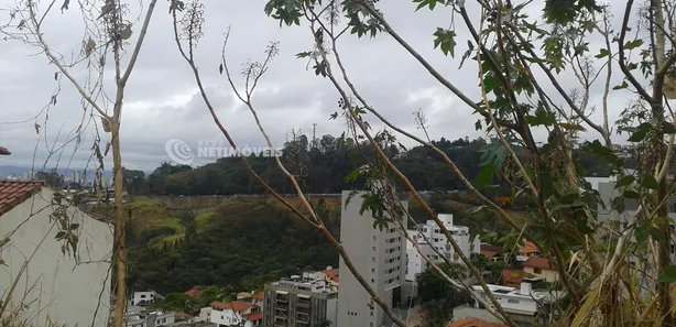 Lote/Terreno à venda, 562m² no Santa Lúcia, Belo Horizonte