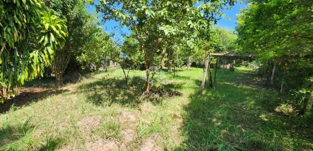 Lote/Terreno à venda, 589m² no Centro, Vera Cruz