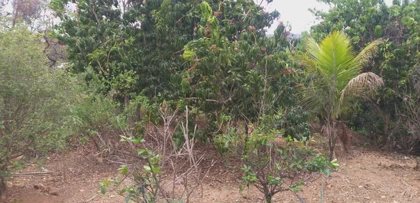 Lote/Terreno à venda, 4681m² no Palmital, Lagoa Santa