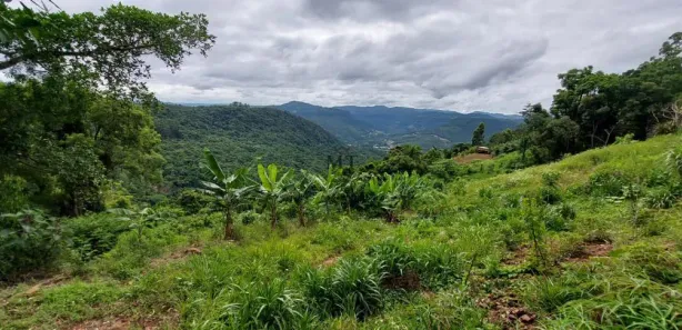 Lote/Terreno à venda, 25000m² no Scheiblin, Linha Nova