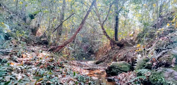 Fazenda/Sítio à venda, 20000m² no , Brasília