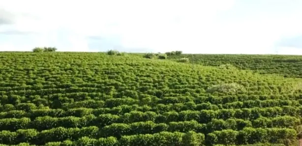 Fazenda/Sítio à venda, 62m² no Centro, Pirajuí