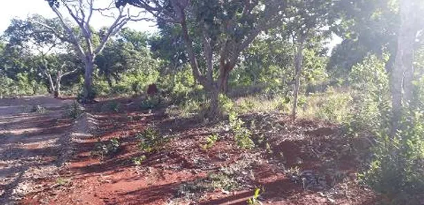 Lote/Terreno à venda, 20000m² no , Araçaí