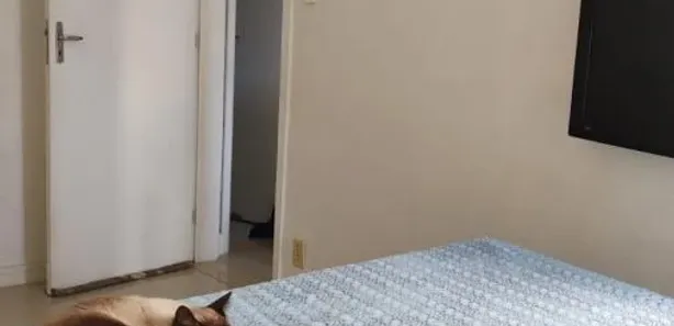 Apartamento com 2 Quartos à venda, 47m² no Caji, Lauro de Freitas