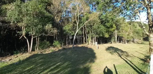 Lote/Terreno à venda, 26666m² no Bela Vista, Caxias do Sul