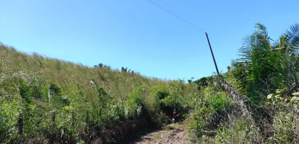 Fazenda/Sítio com 3 Quartos à venda, 1890000m² no , Coroatá